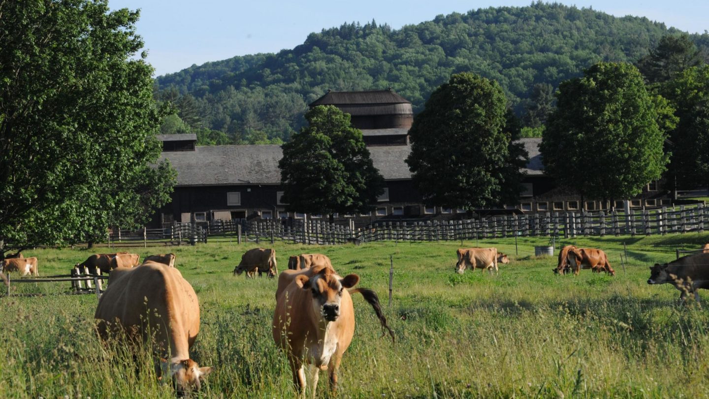10 Farms to Visit in Vermont and New Hampshire