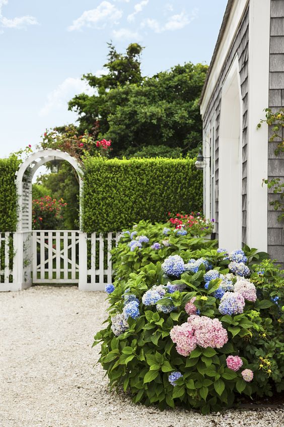 Jess Ann Kirby is inspired by hydrangeas and white fencing for her backyard. 