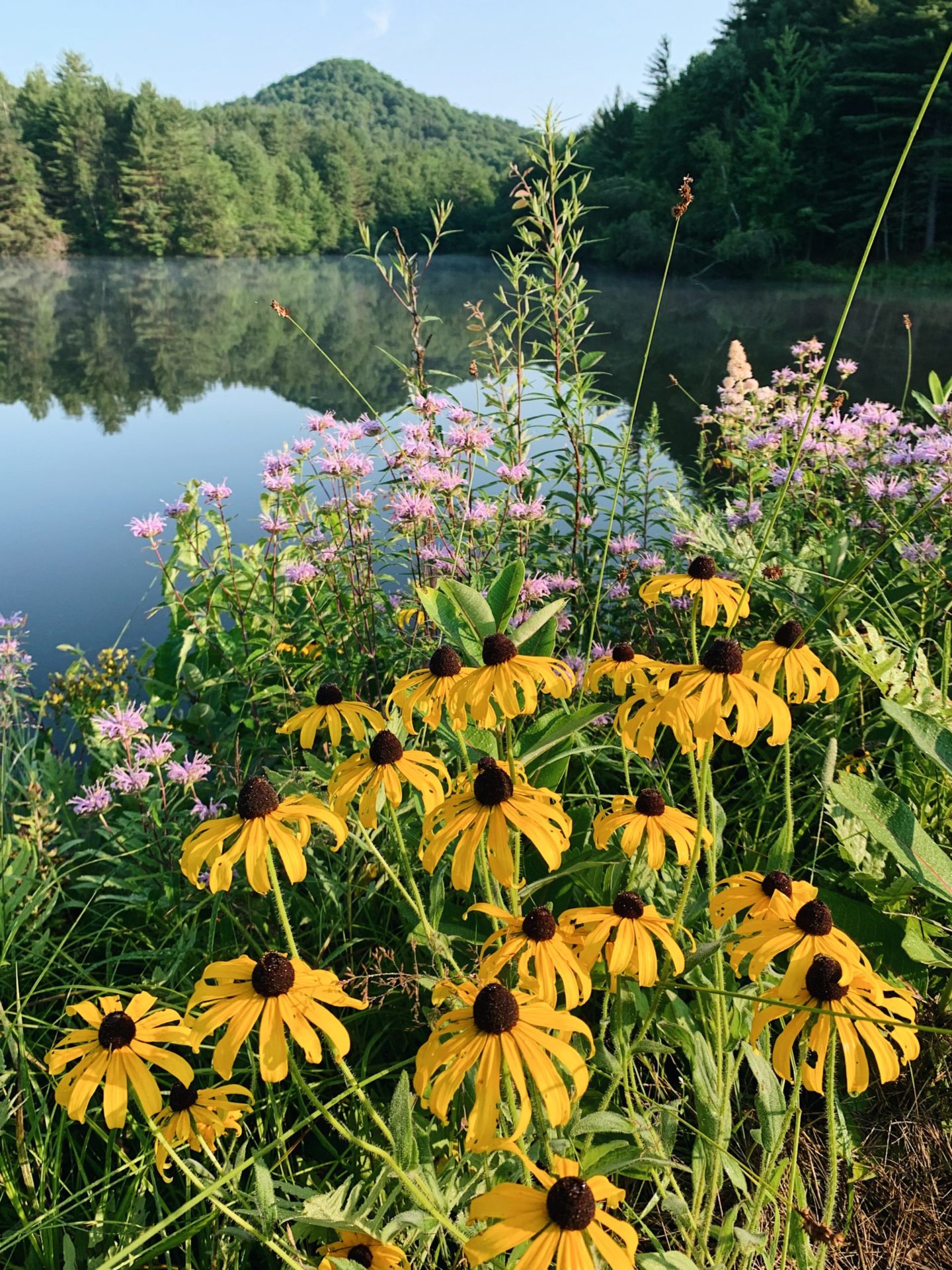 Woodstock Vermont flowers | Click. Read. Love. 7.23.21