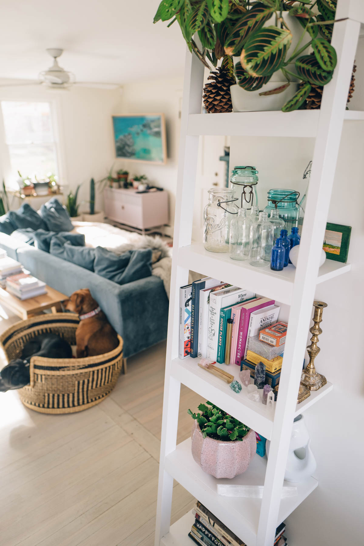 Jess Ann Kirby uses a Crate and Barrel Bookshelf to add a stylish divider to her open concept space