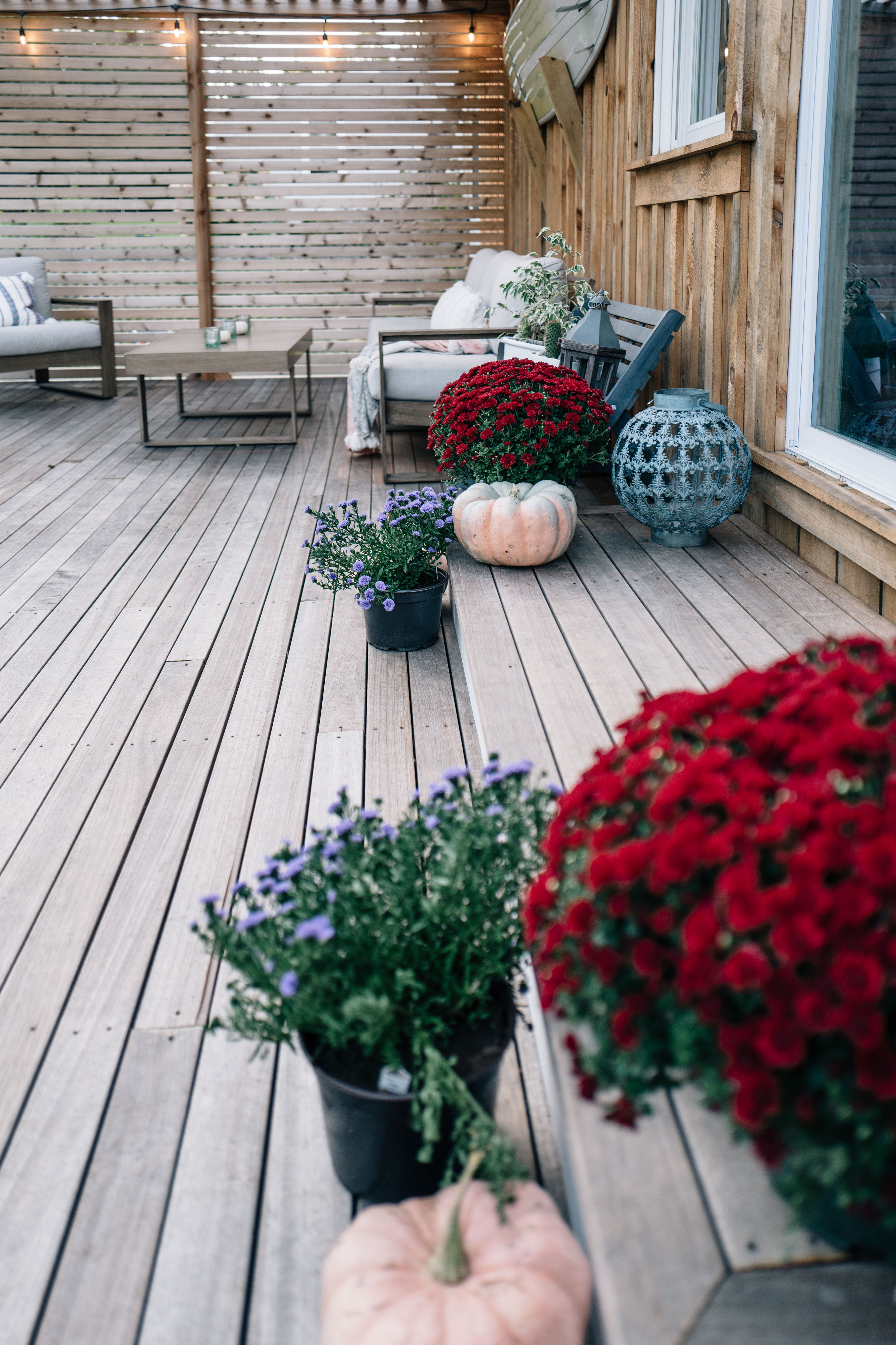 Jess Ann Kirby decorates her newly renovated outdoor space for fall with pumpkins and mums