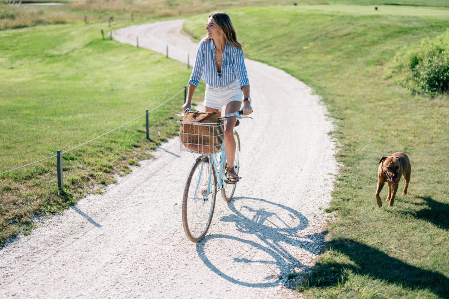 biking to reduce gas emission