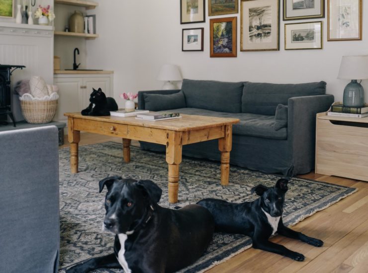 Vermont Living Room Reveal
