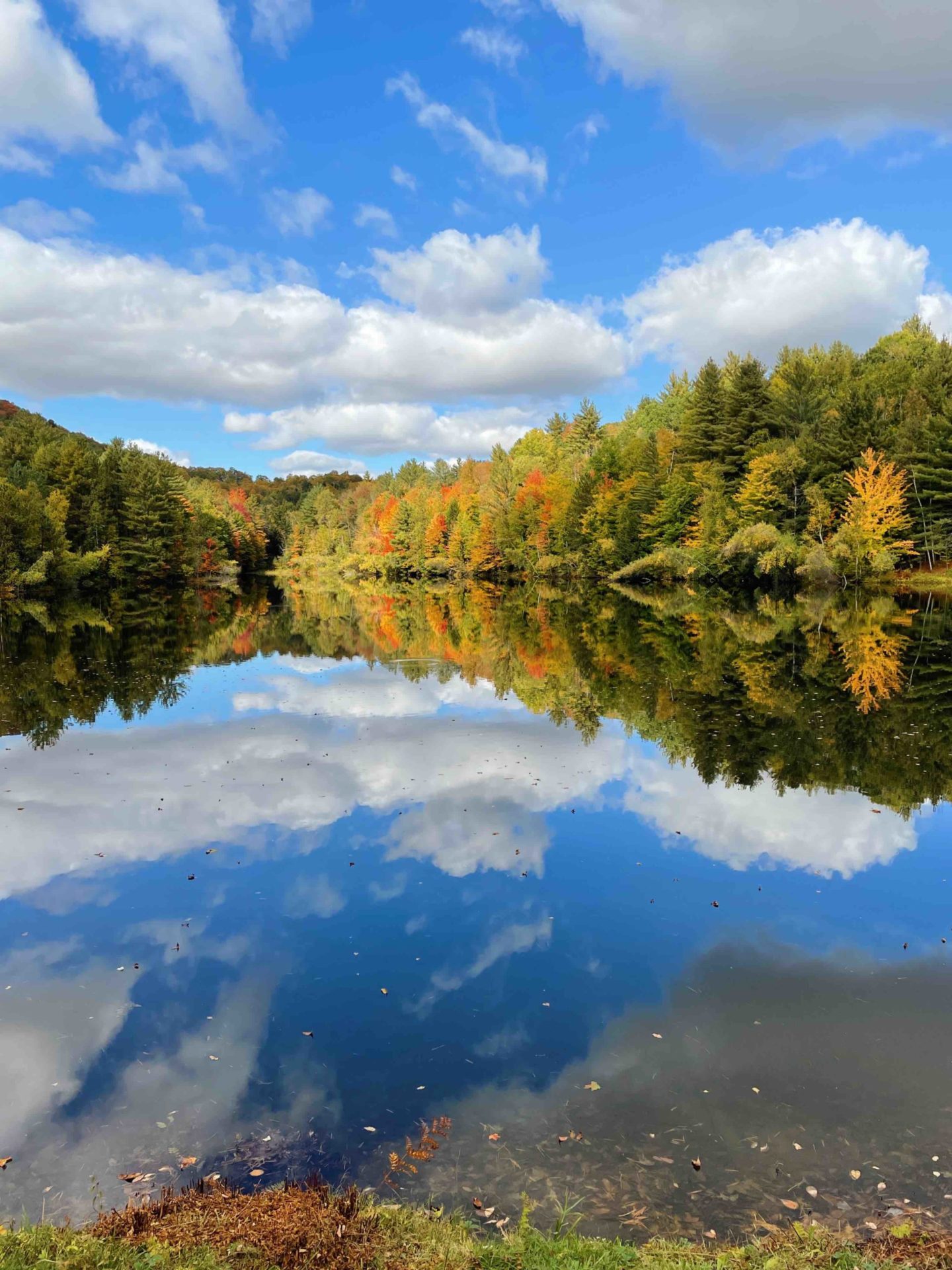 Click. Read. Love. 10.8.21 | Vermont fall foliage