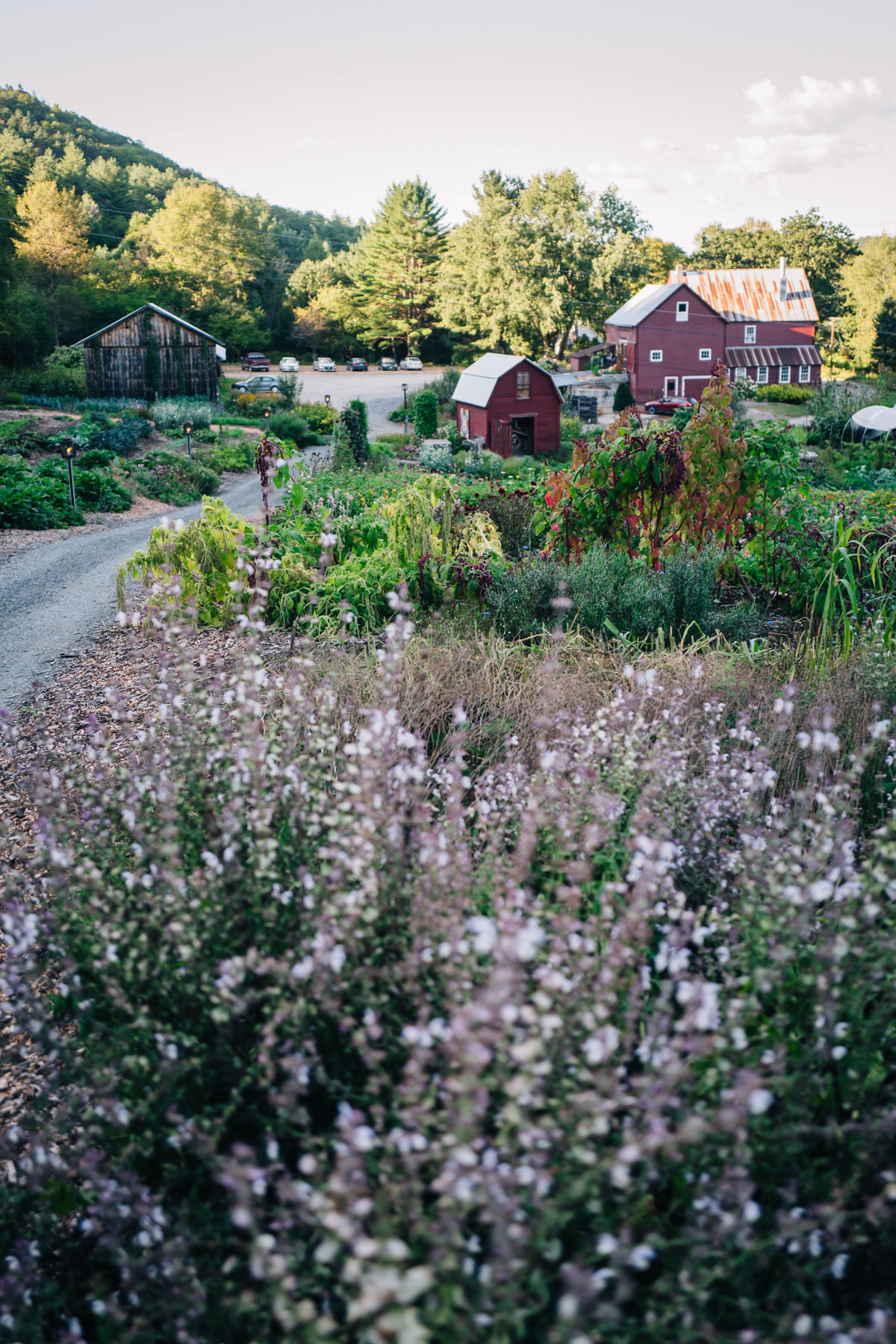 Jess Ann Kirby recommends visiting Kelly Way Gardens when in Woodstock, Vermont