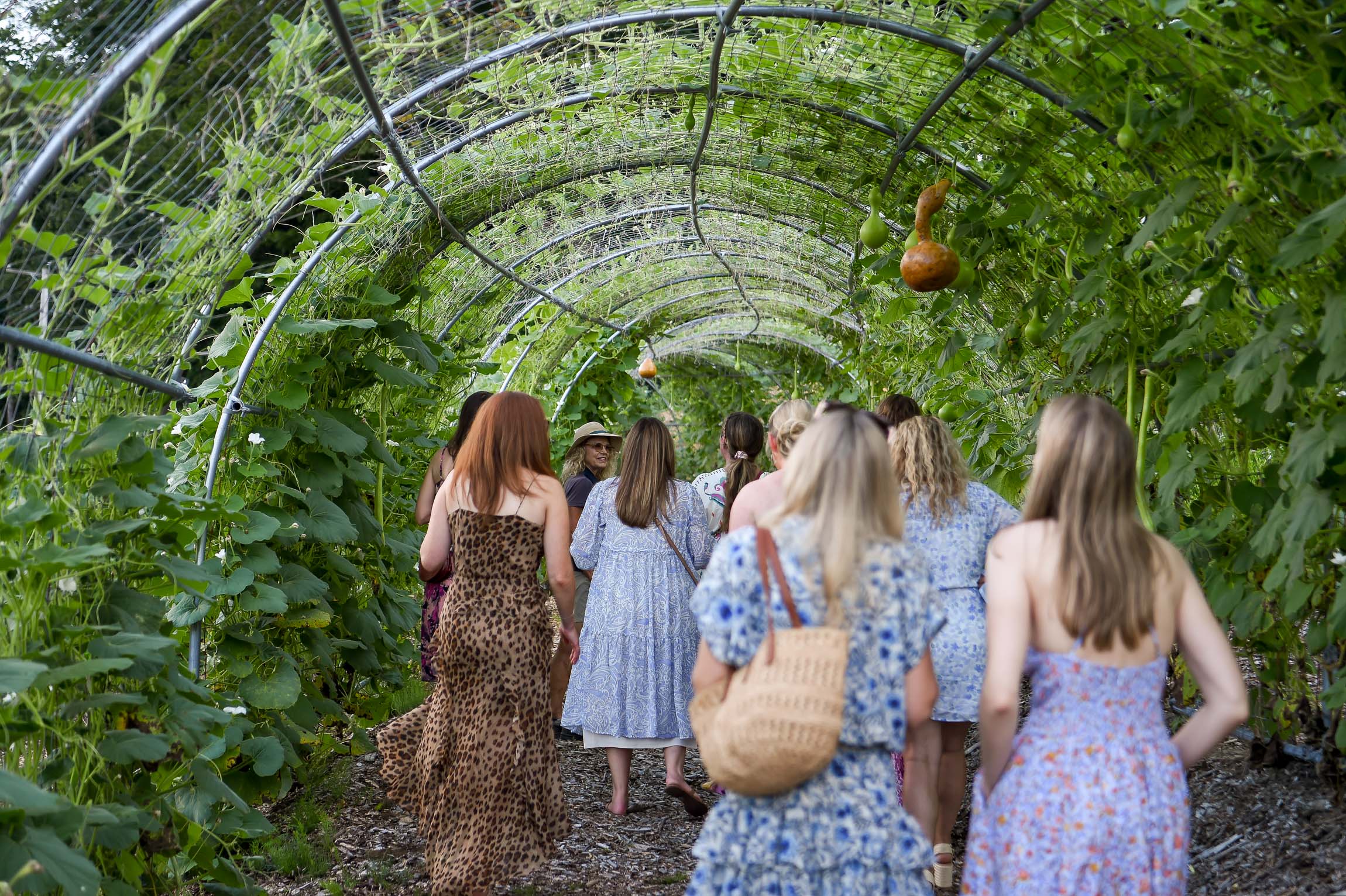 Jess Ann Kirby Kelly Way Gardens gourd tunnel