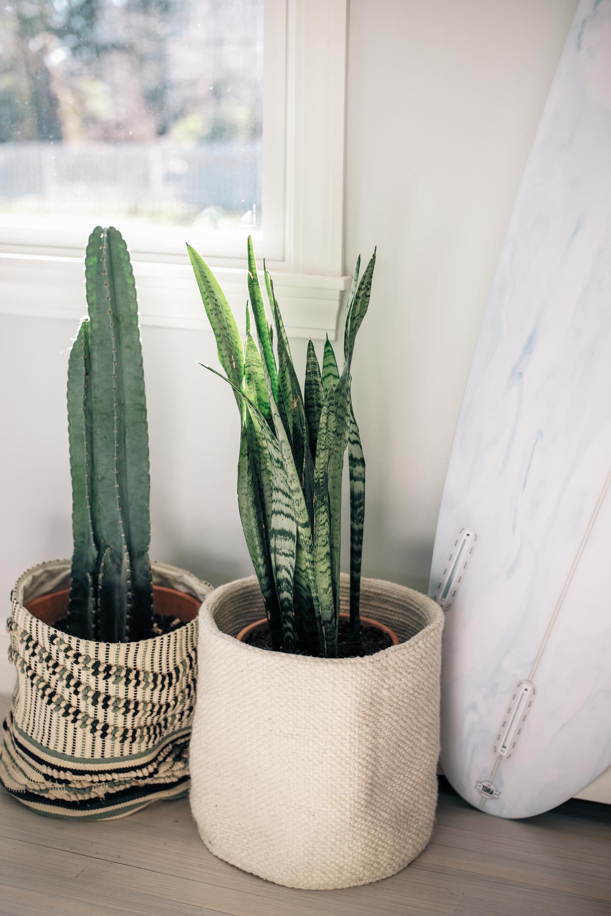 Jess Ann Kirby uses woven planters as home decor