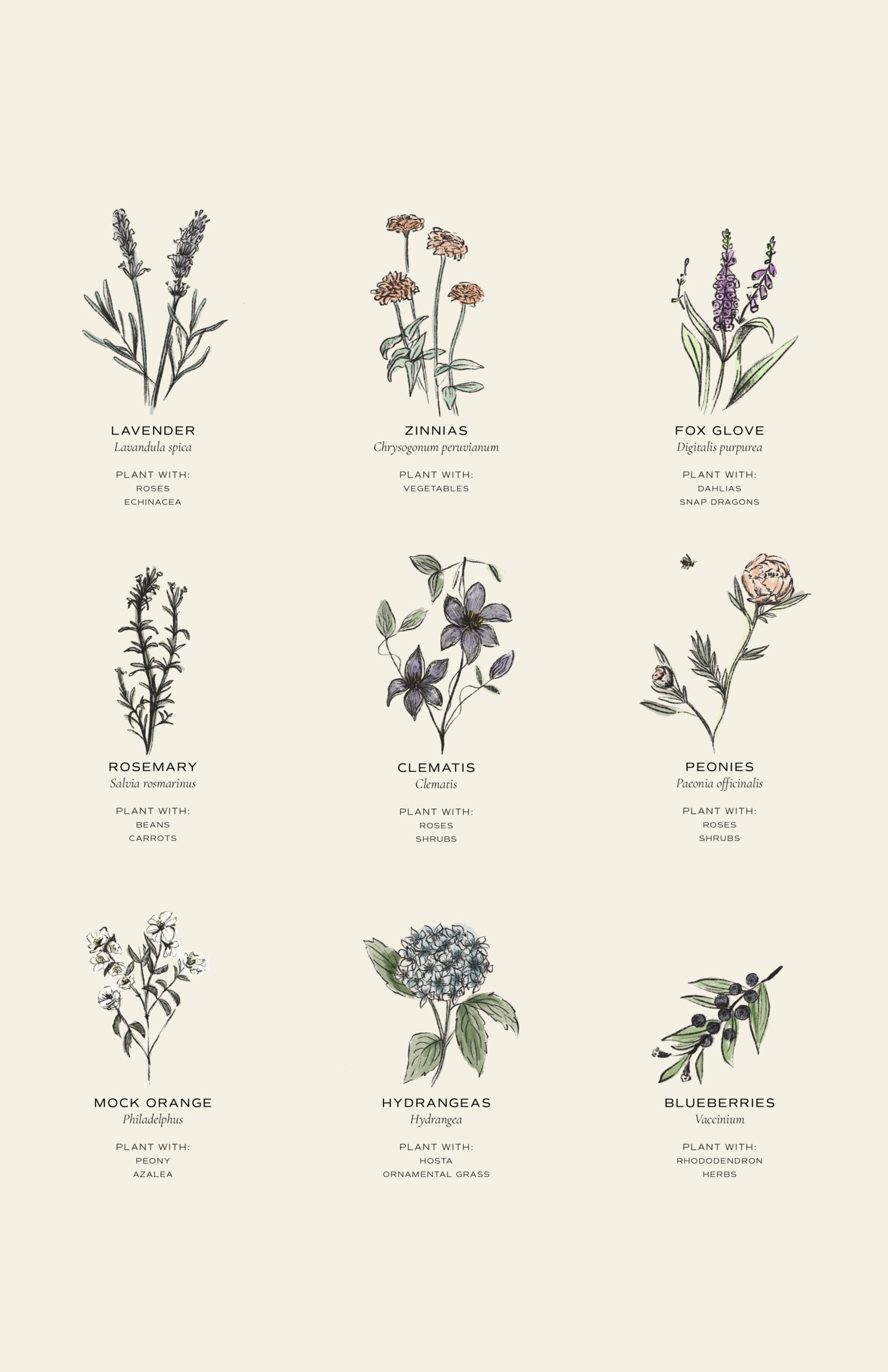 Spring Planting Guide: What to Plant in May