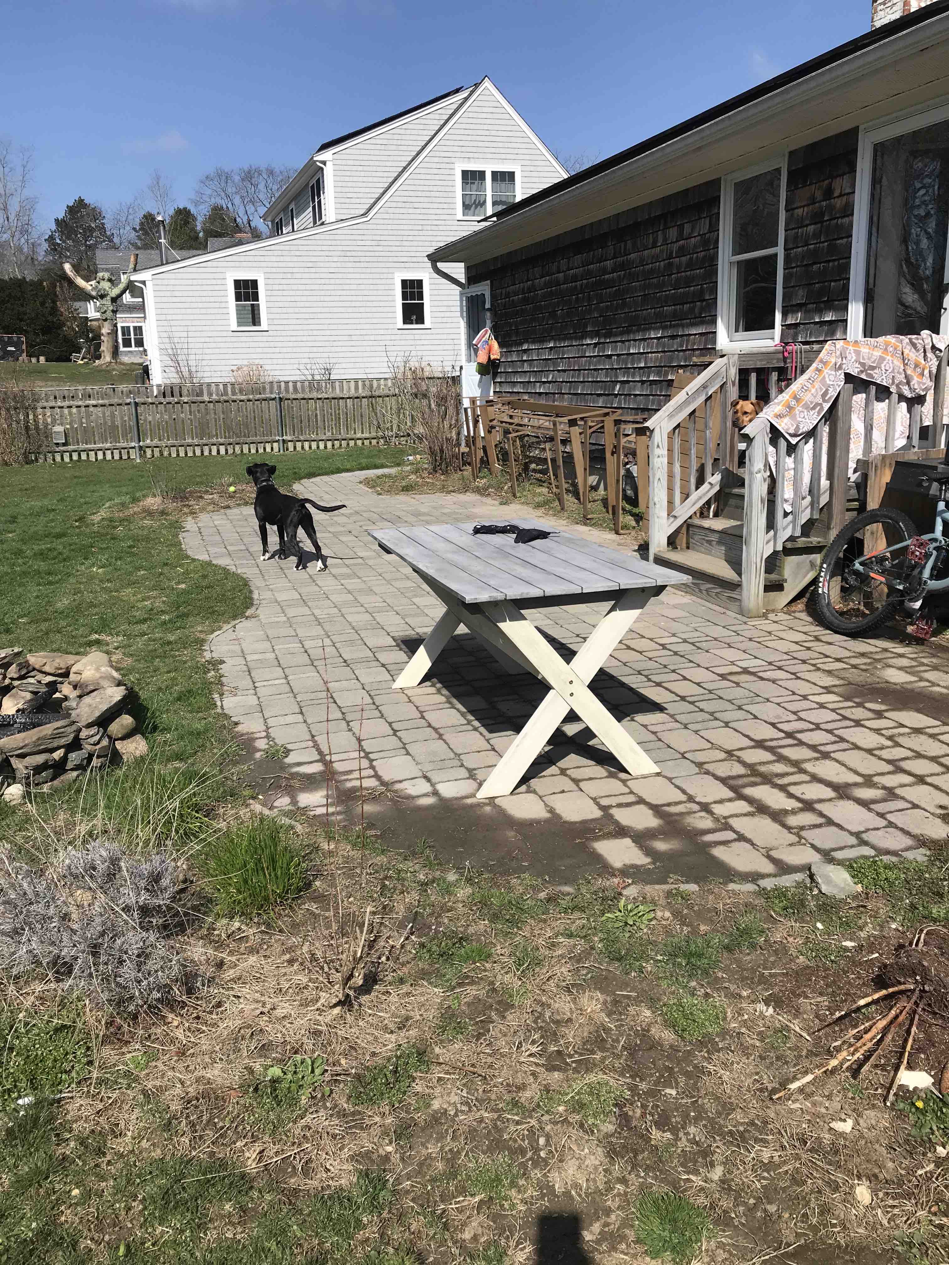 Jess Ann Kirby shares her backyard space before a renovation