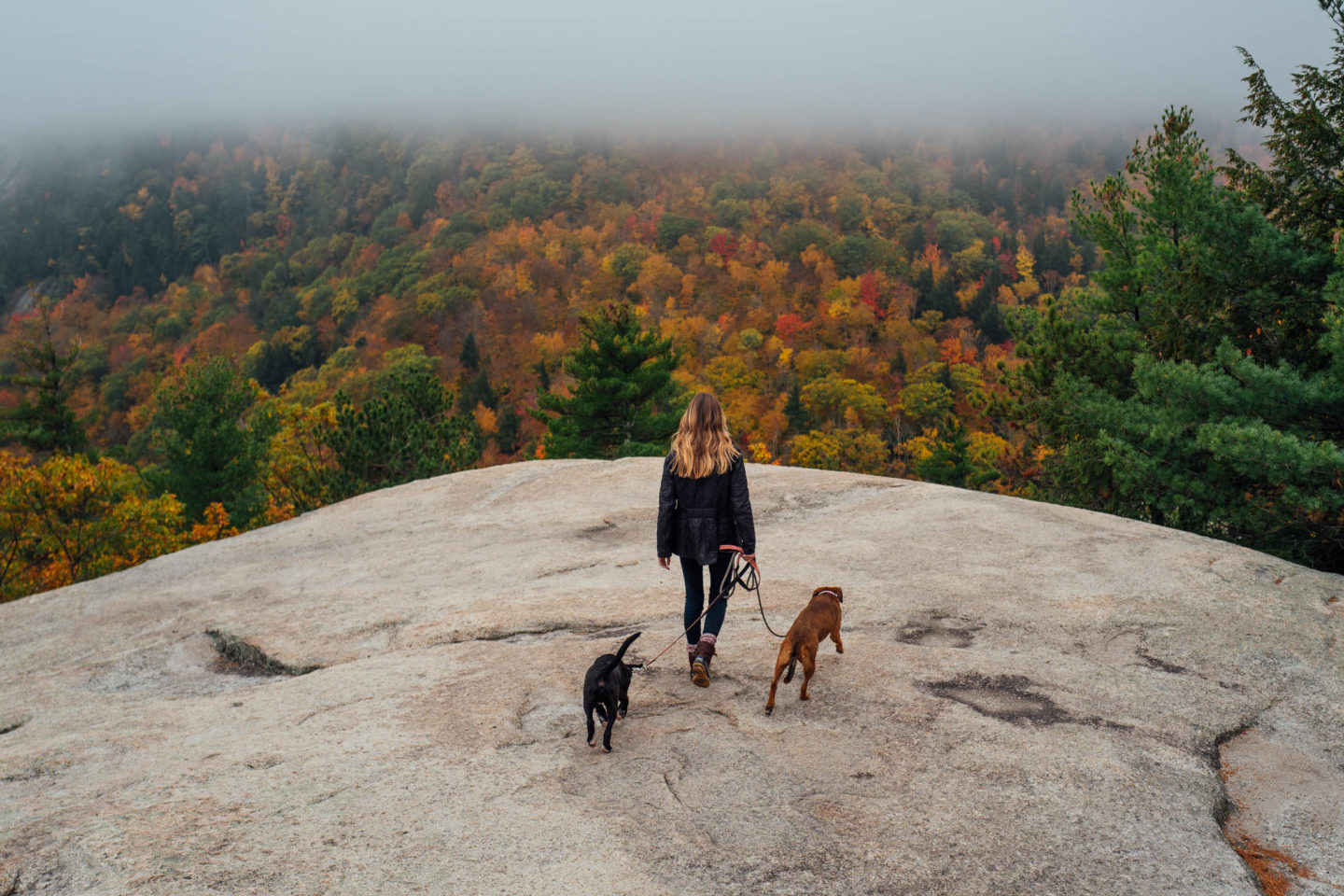 Jess Ann Kirby hikes in North Conway, New Hampshire with her pups.