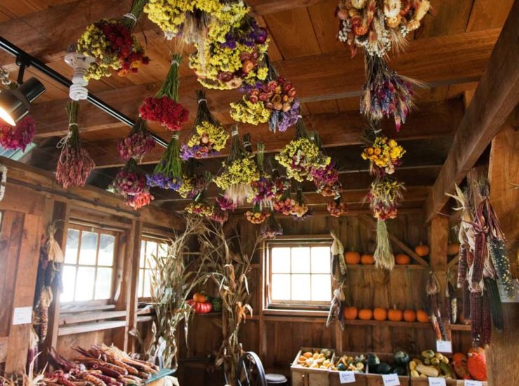 15 Farm Stands in Vermont