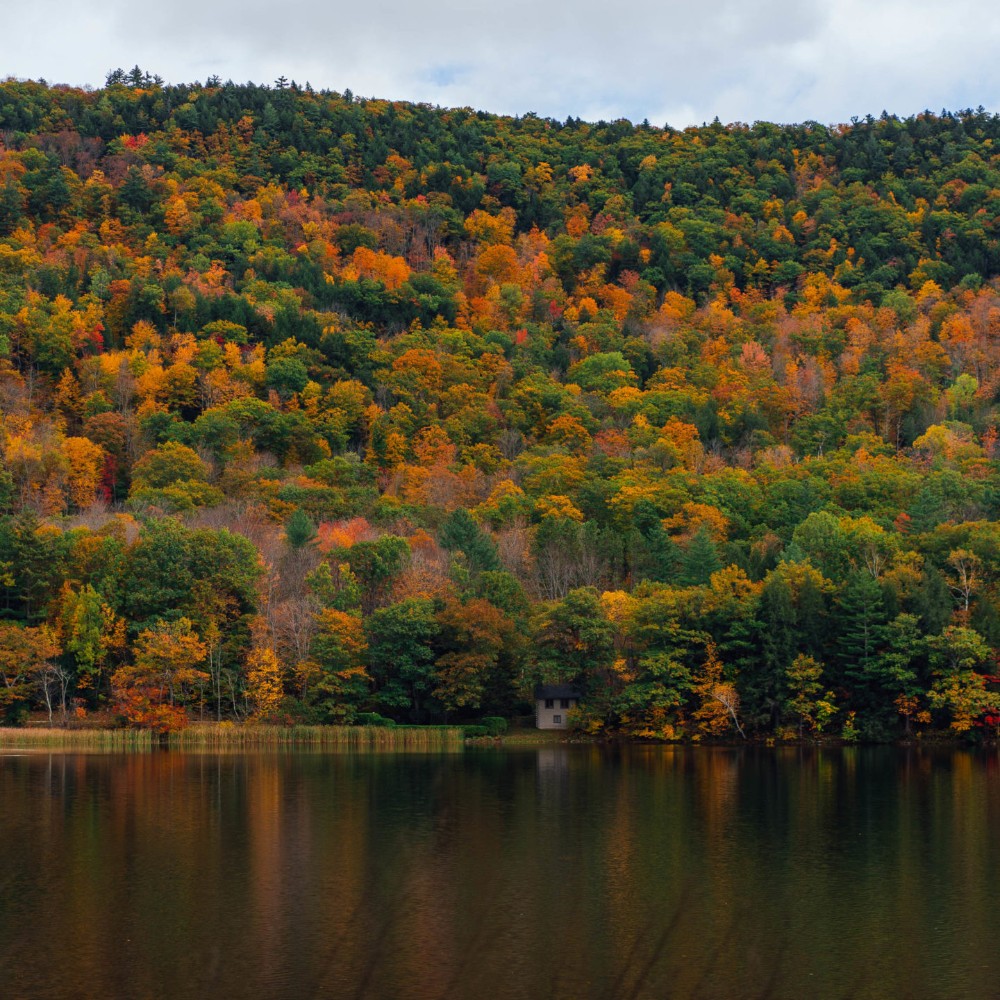 Jess Ann Kirby suggests seeing fall foliage in Woodstock, Vermont.